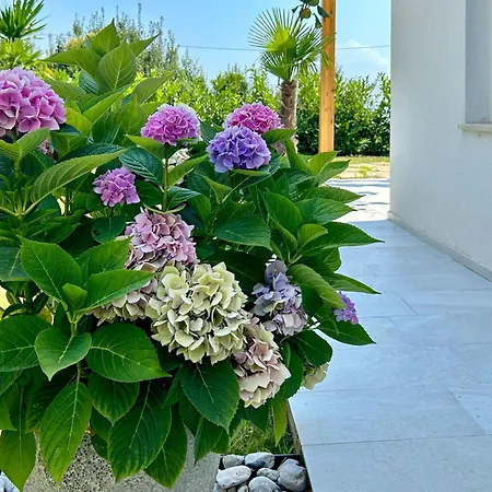 Palma-2 By Interhome *