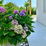 Palma-2 By Interhome *