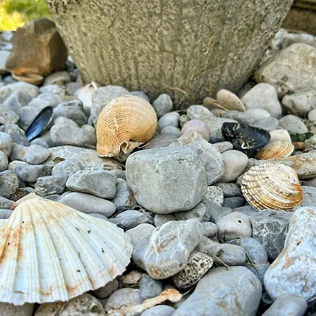 Palma-2 By Interhome Apartamento *